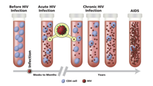 HIV Primary Care: A Review